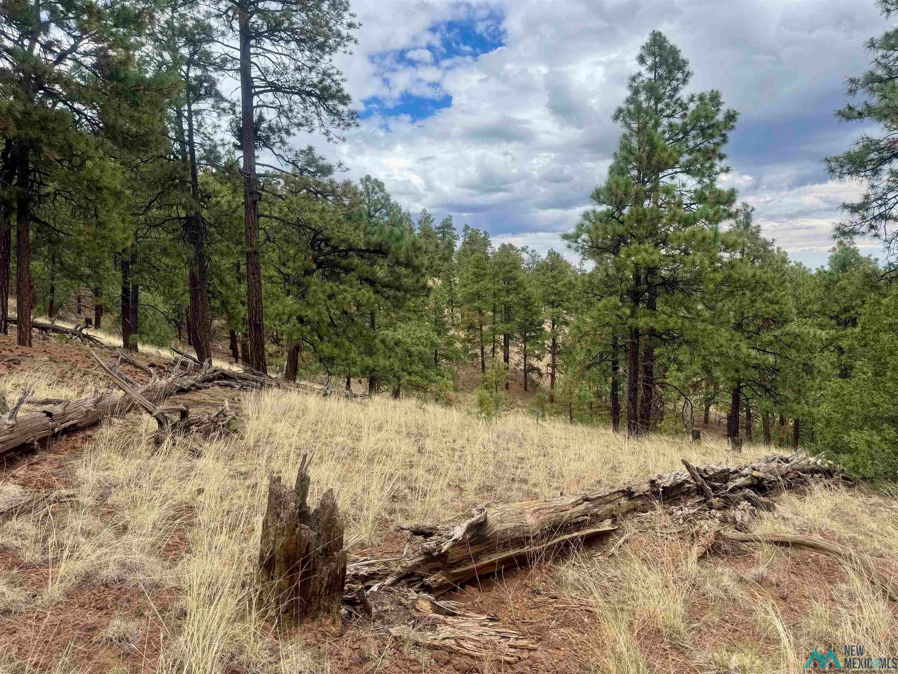 Tbd Oso Rdg Lookout Road Grants, NM 87020 - Photo 33 of 41