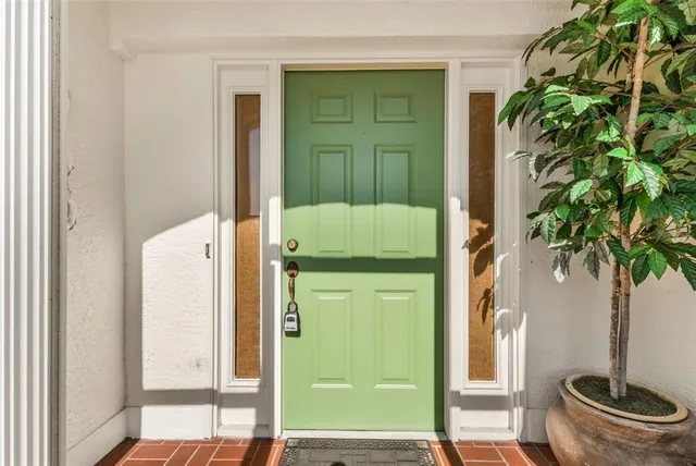 a potted plant sitting in front of a door