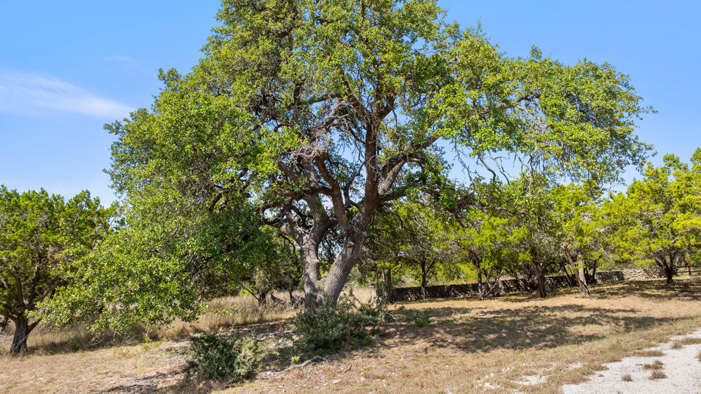 5818 Ranch Road 165 Blanco, TX 78606 - Photo 13 of 24 a backyard of a house with lots of green space