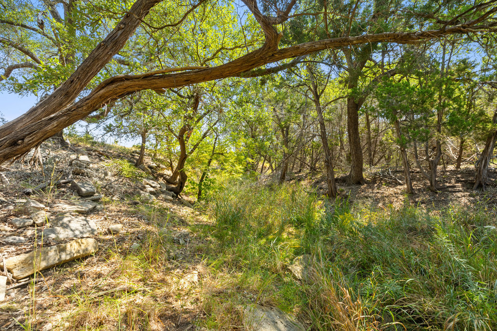 5818 Ranch Road 165 Blanco, TX 78606 - Photo 2 of 24 a view of tree