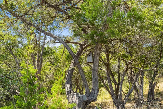 a view of a lake with a mountain in the background