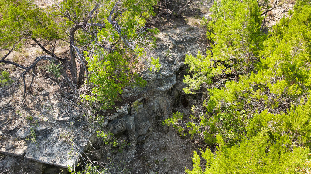 5818 Ranch Road 165 Blanco, TX 78606 - Photo 4 of 24 a backyard of a house with lots of trees