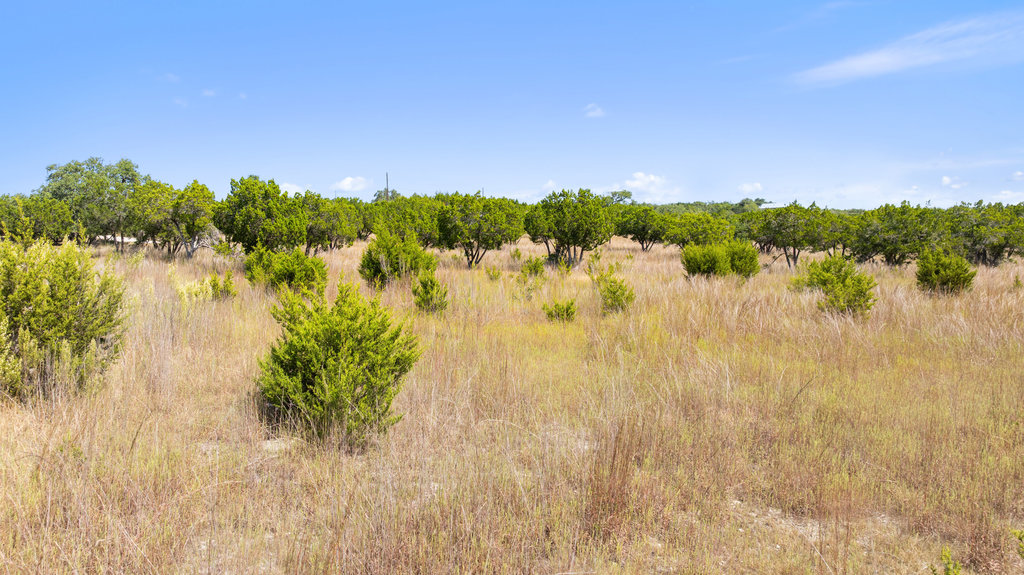 5818 Ranch Road 165 Blanco, TX 78606 - Photo 9 of 24 a view of lake with green space