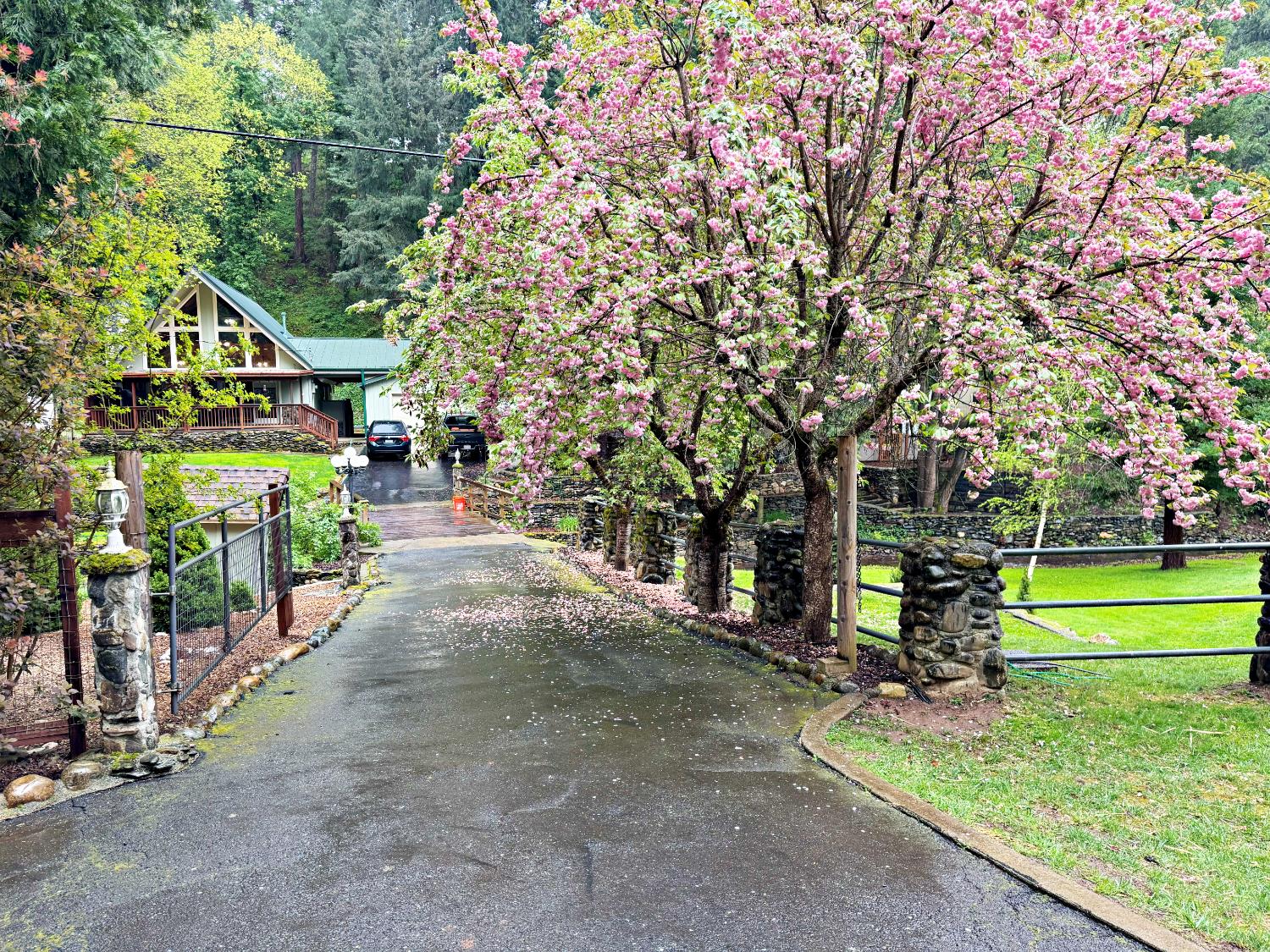 4870 Clear Creek Road Placerville, CA 95667 - Photo 40 of 73