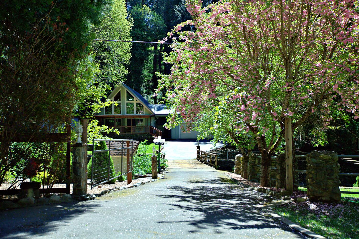 4870 Clear Creek Road Placerville, CA 95667 - Photo 41 of 73