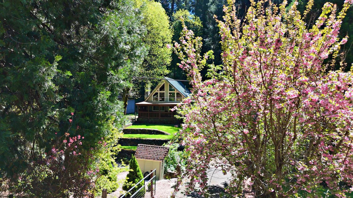 4870 Clear Creek Road Placerville, CA 95667 - Photo 54 of 73