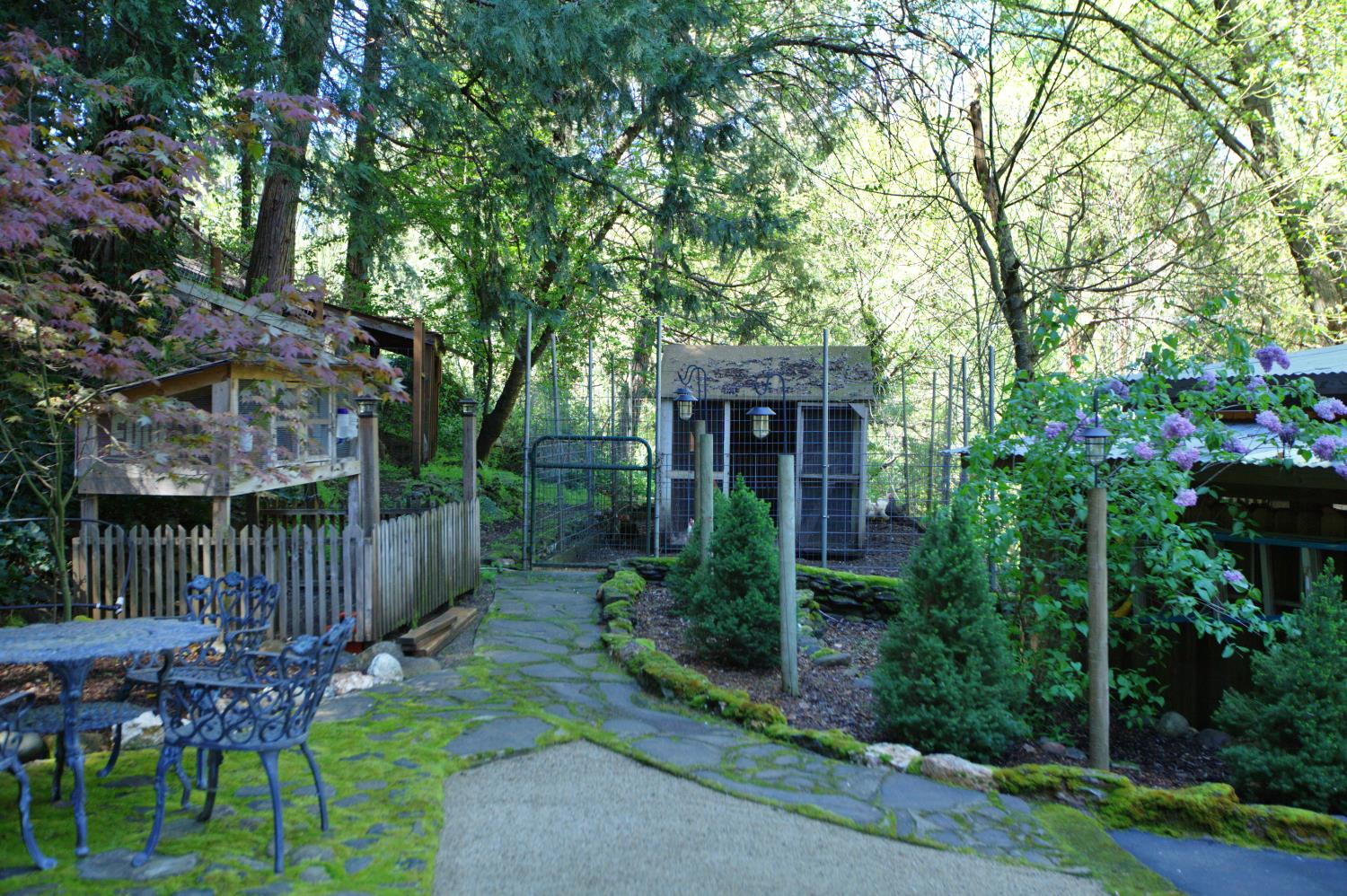 4870 Clear Creek Road Placerville, CA 95667 - Photo 67 of 73