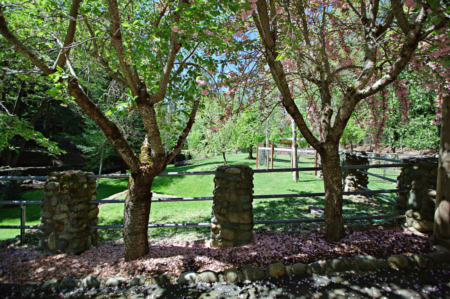 4870 Clear Creek Road Placerville, CA 95667 - Photo 72 of 73