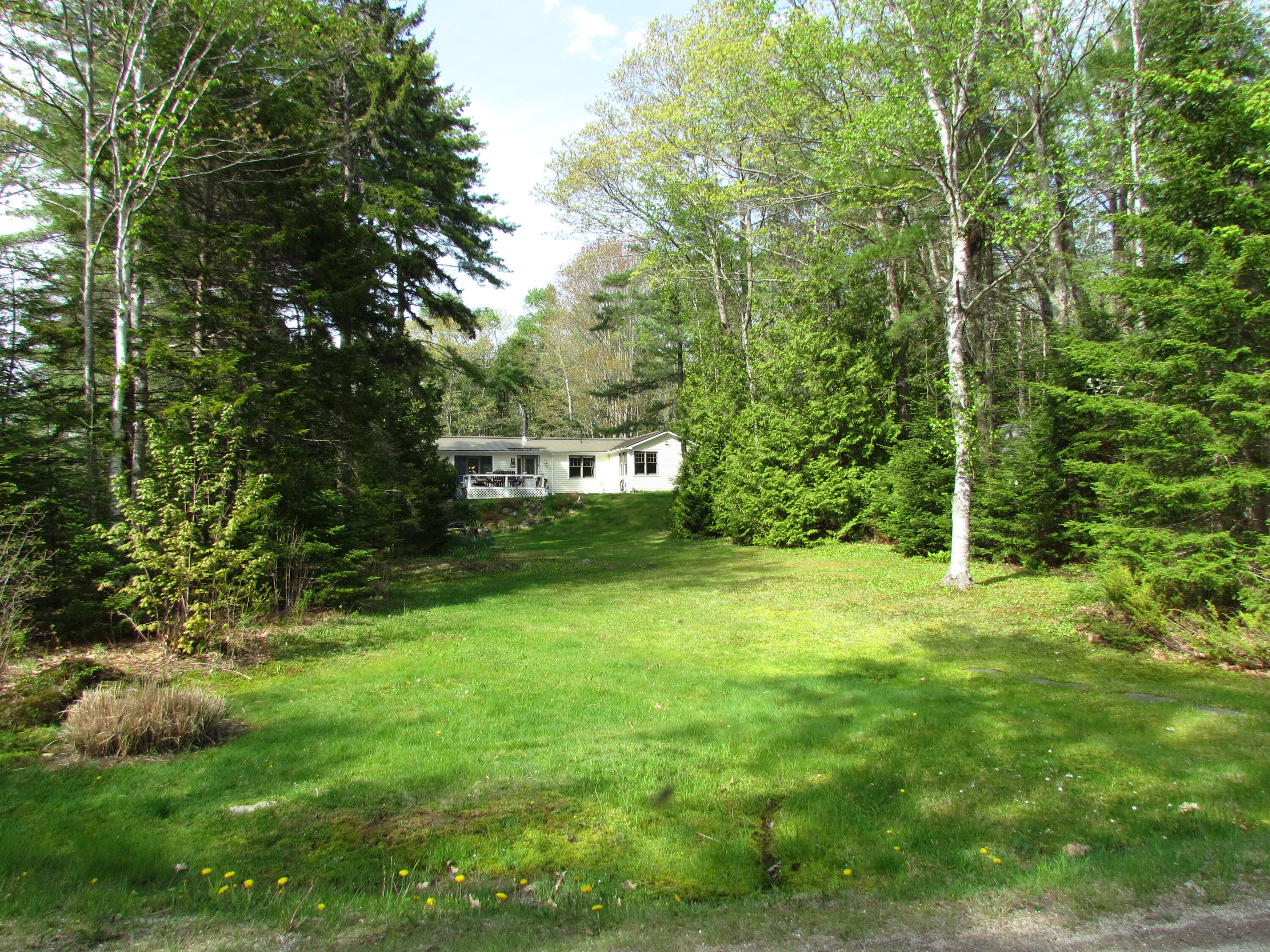 121 Brickyard Cove Road Harpswell, ME 04079 - Photo 26 of 54 Nature Provides Privacy Screen