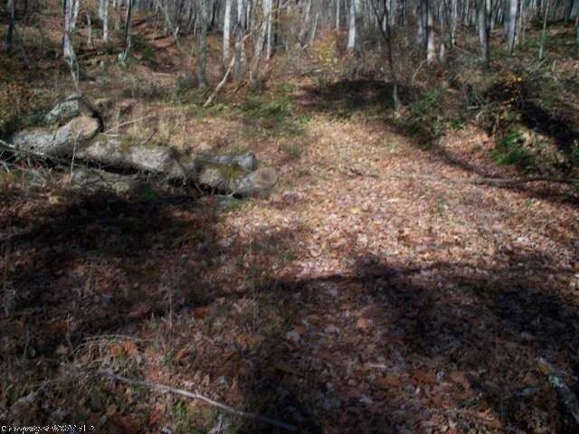 9 Joseph Chapel Road Belington, WV 26250 - Photo 6 of 18 Gallery Image 6