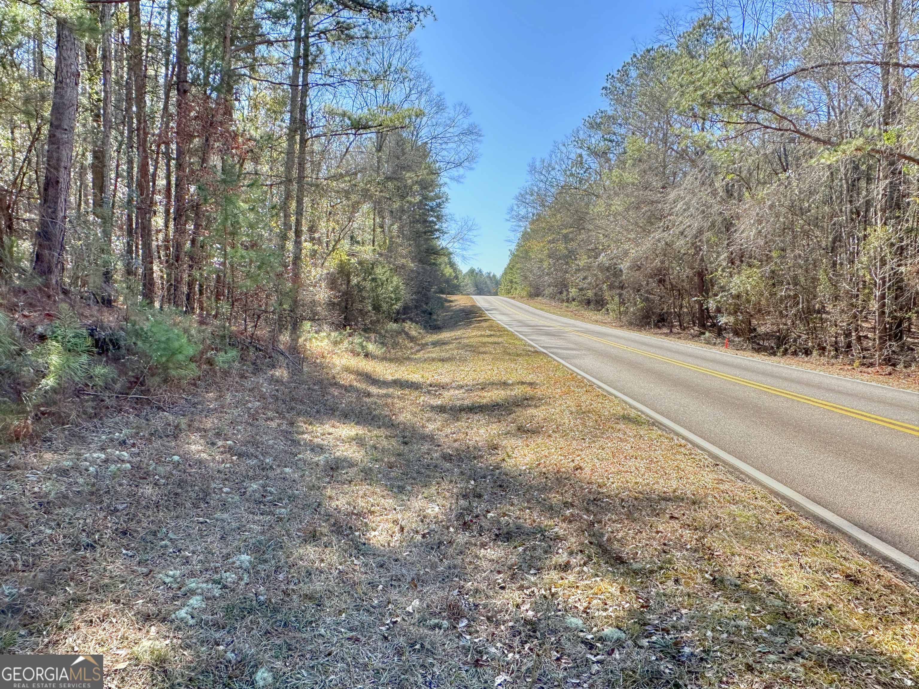 0 Salem Road Pine Mountain, GA 31822 - Photo 2 of 10 a view of a yard with plants and trees