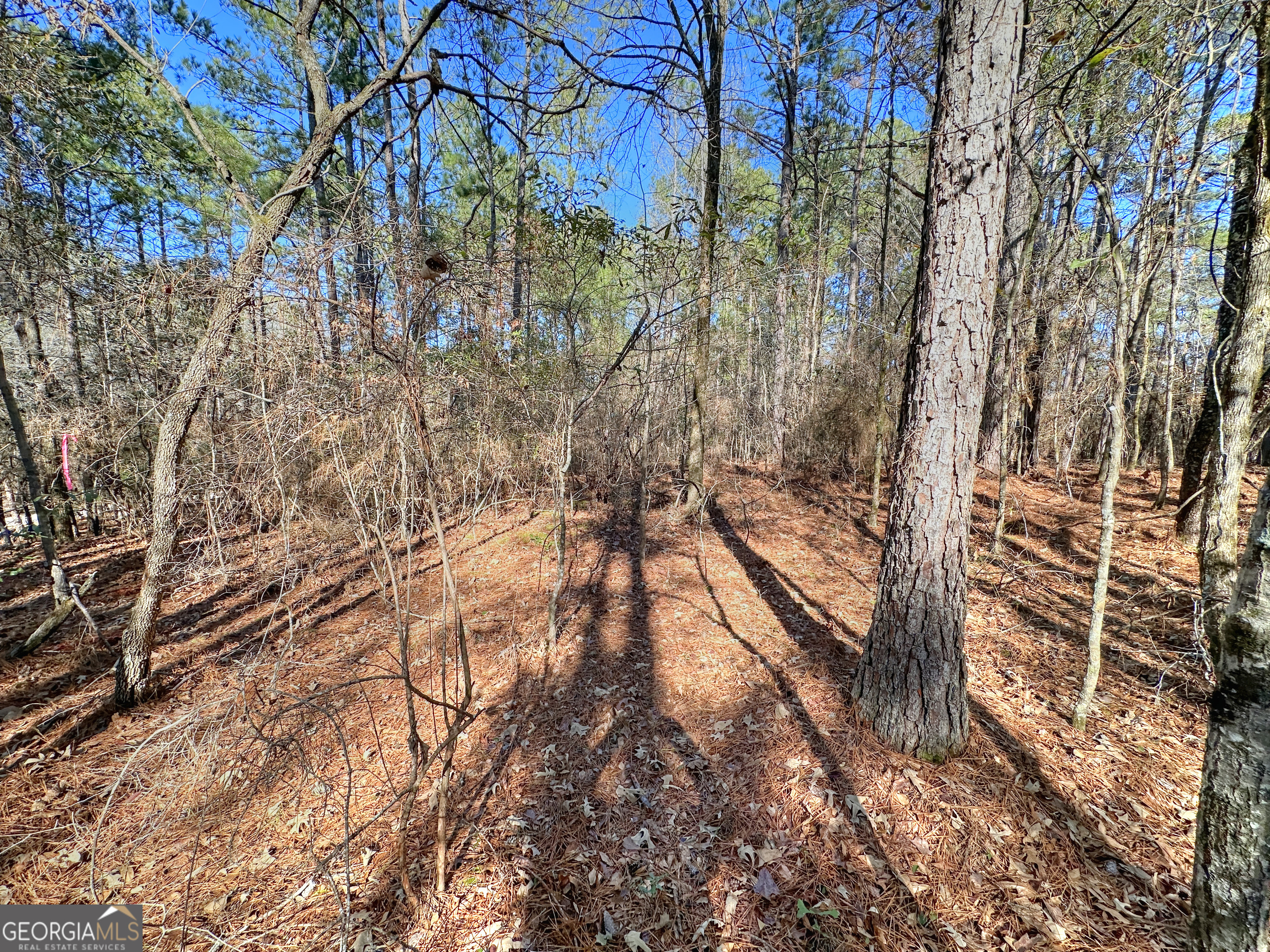0 Salem Road Pine Mountain, GA 31822 - Photo 5 of 10 a view of a yard