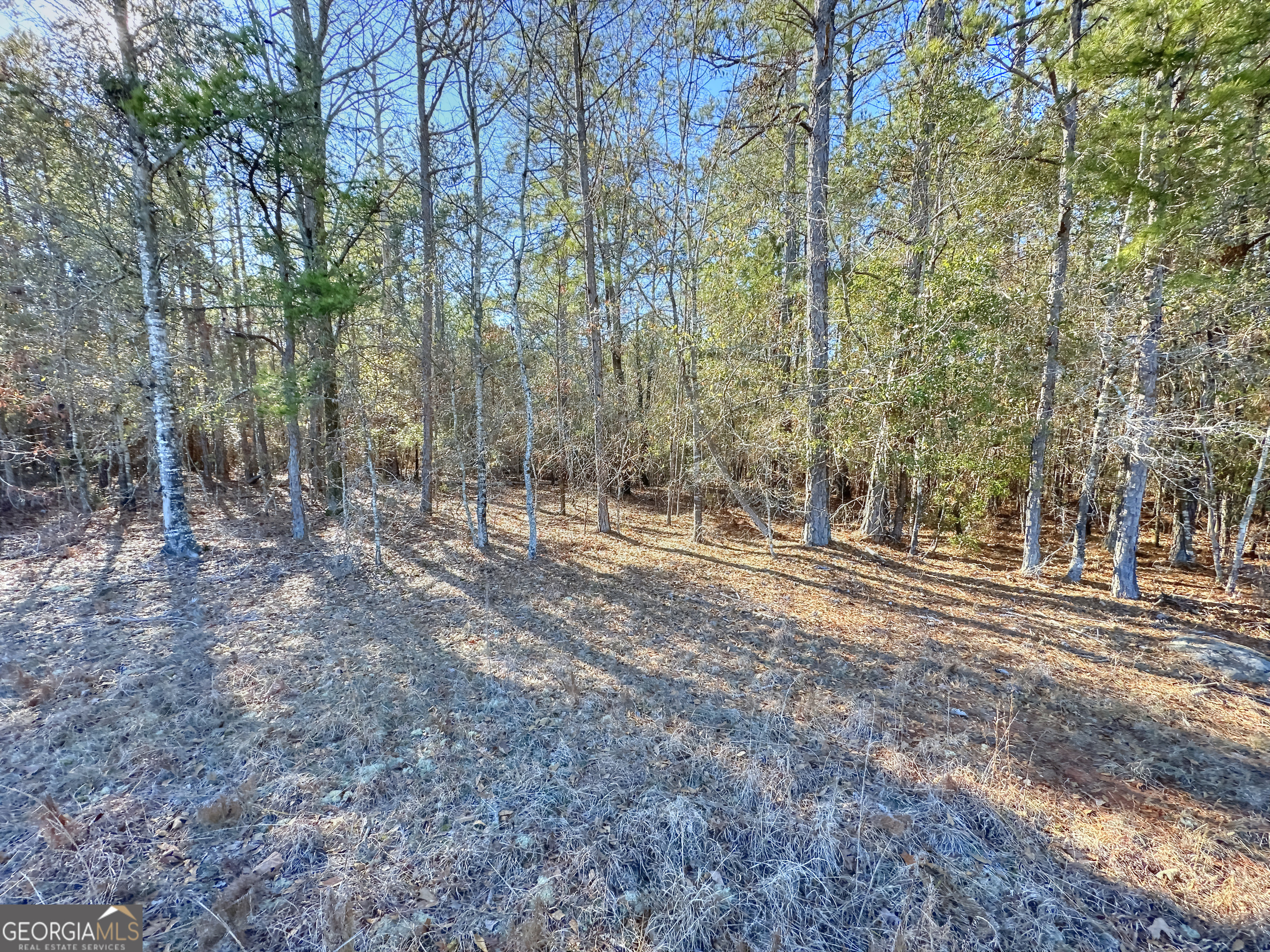 0 Salem Road Pine Mountain, GA 31822 - Photo 7 of 10 a view of outdoor space with trees