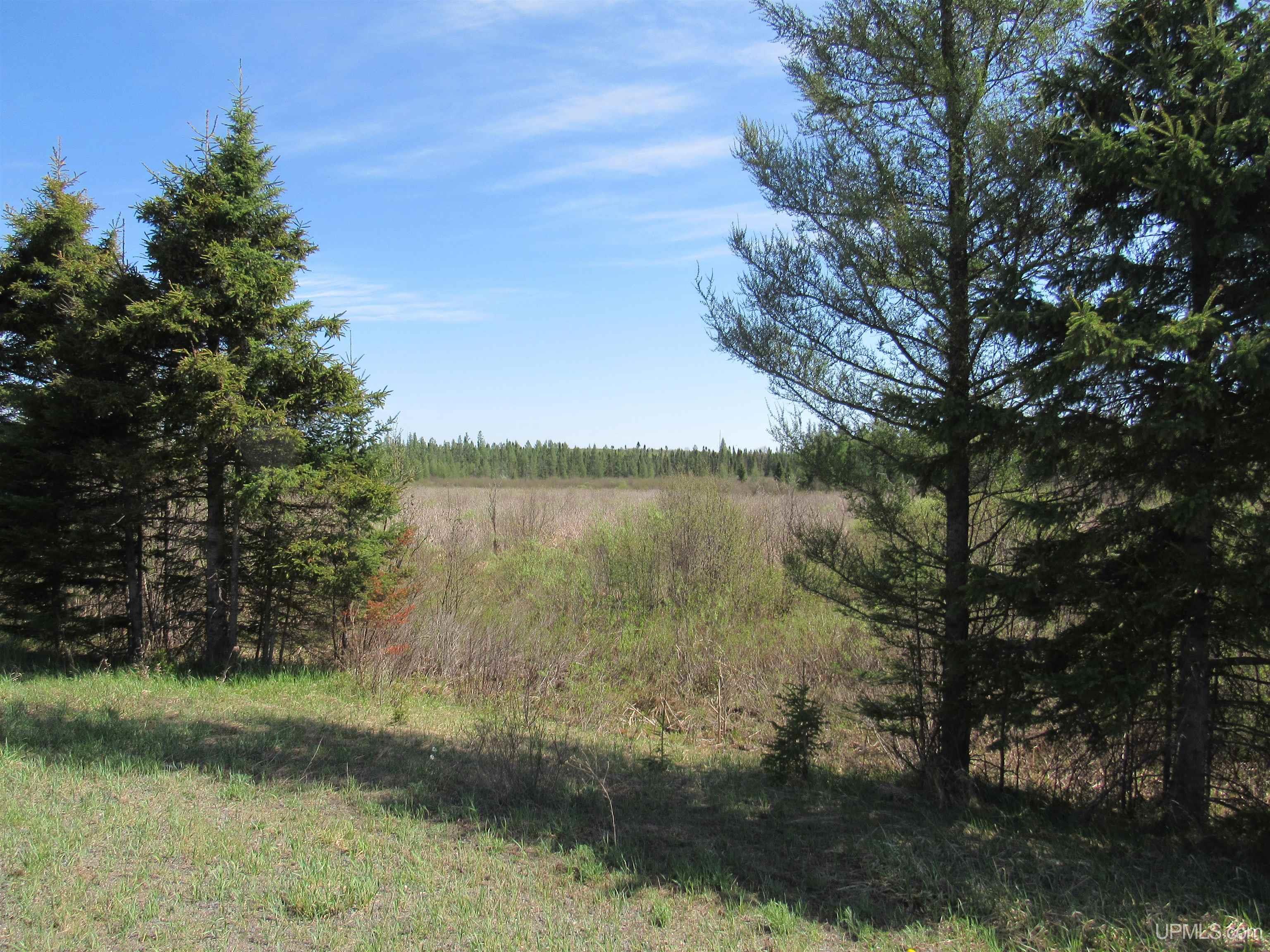 Tbd Us 141 Road, Unit LUKES ROAD Amasa, MI 49903 - Photo 14 of 22