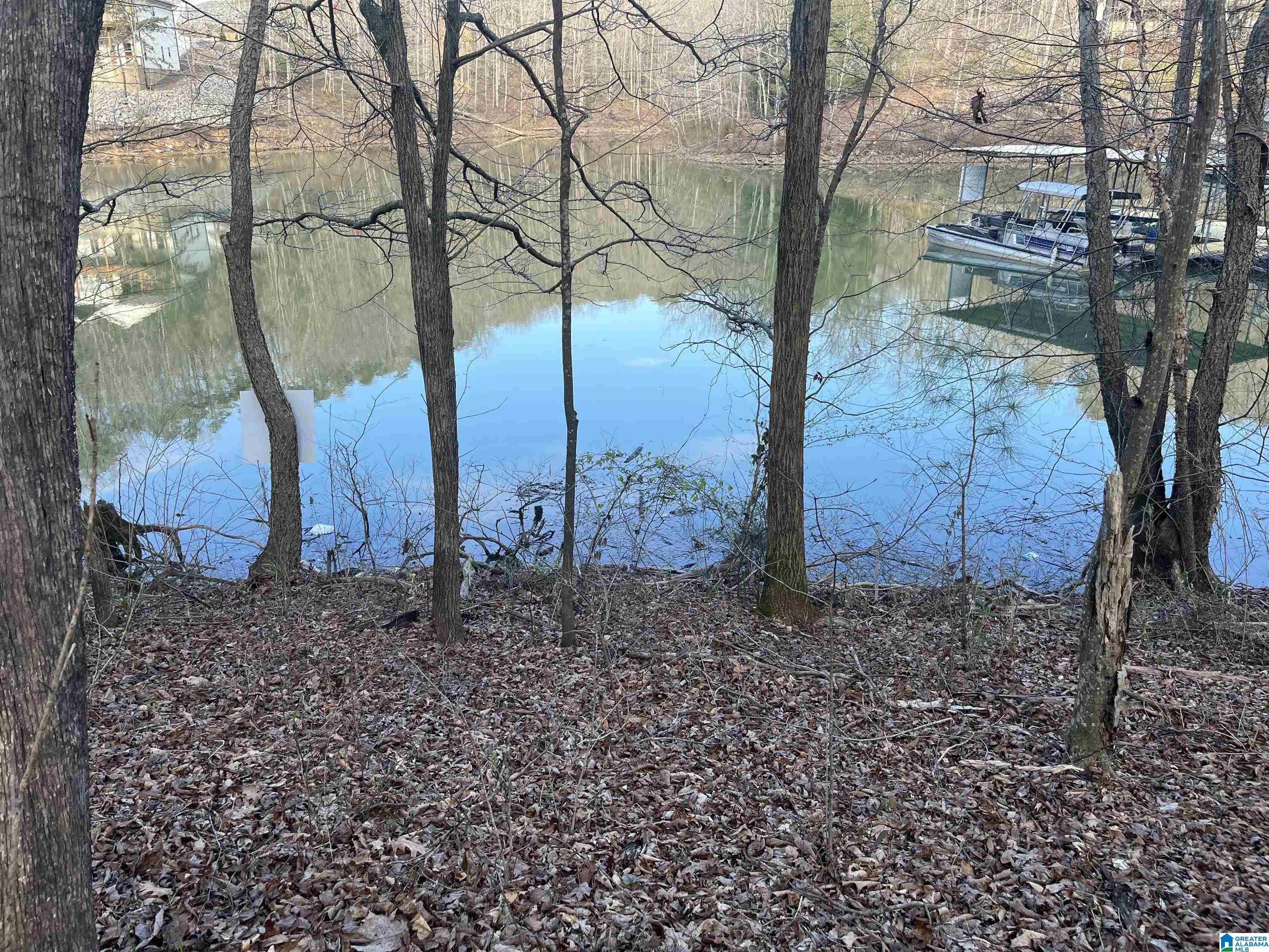 Lot 6 Legends Lane, Unit 6 Arley, AL 35541 - Photo 2 of 18