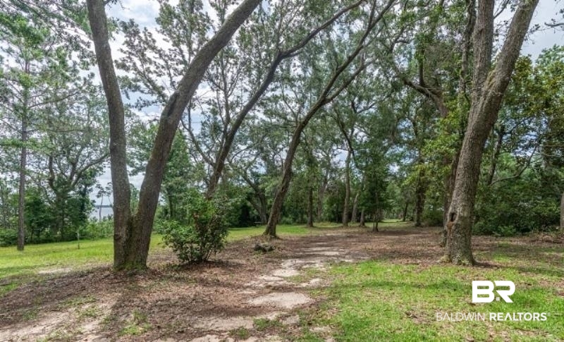 10970 County Road 99 Lillian, AL 36549 - Photo 14 of 38 Driveway