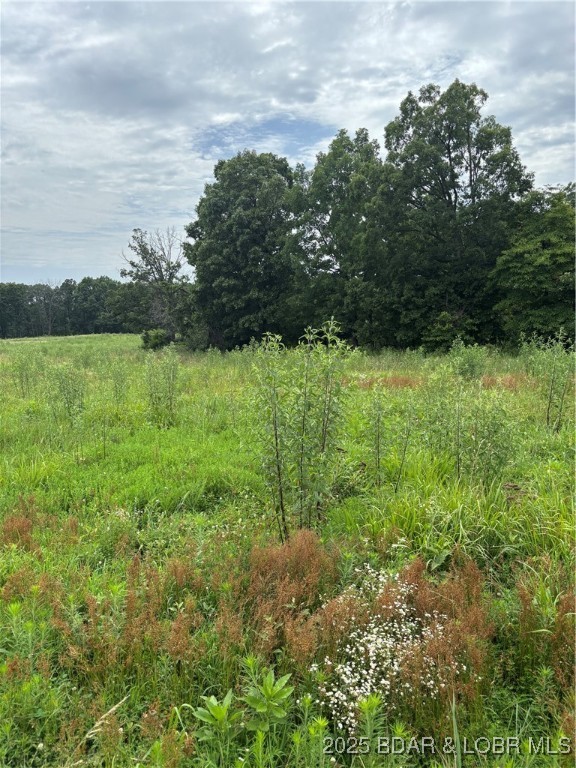 Beechnut Road Stover, MO 65078 - Photo 2 of 5