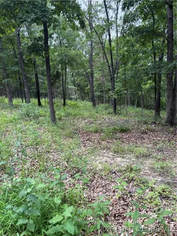 $164,250 | Beechnut Road, Stover, MO 65078