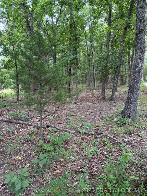 Beechnut Road Stover, MO 65078 - Photo 4 of 5