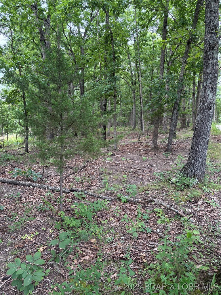 Beechnut Road Stover, MO 65078 - Photo 4 of 5