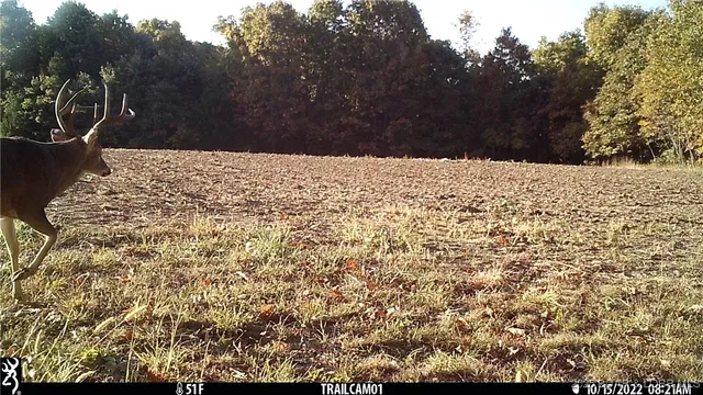 $164,250 | Beechnut Road, Stover, MO 65078