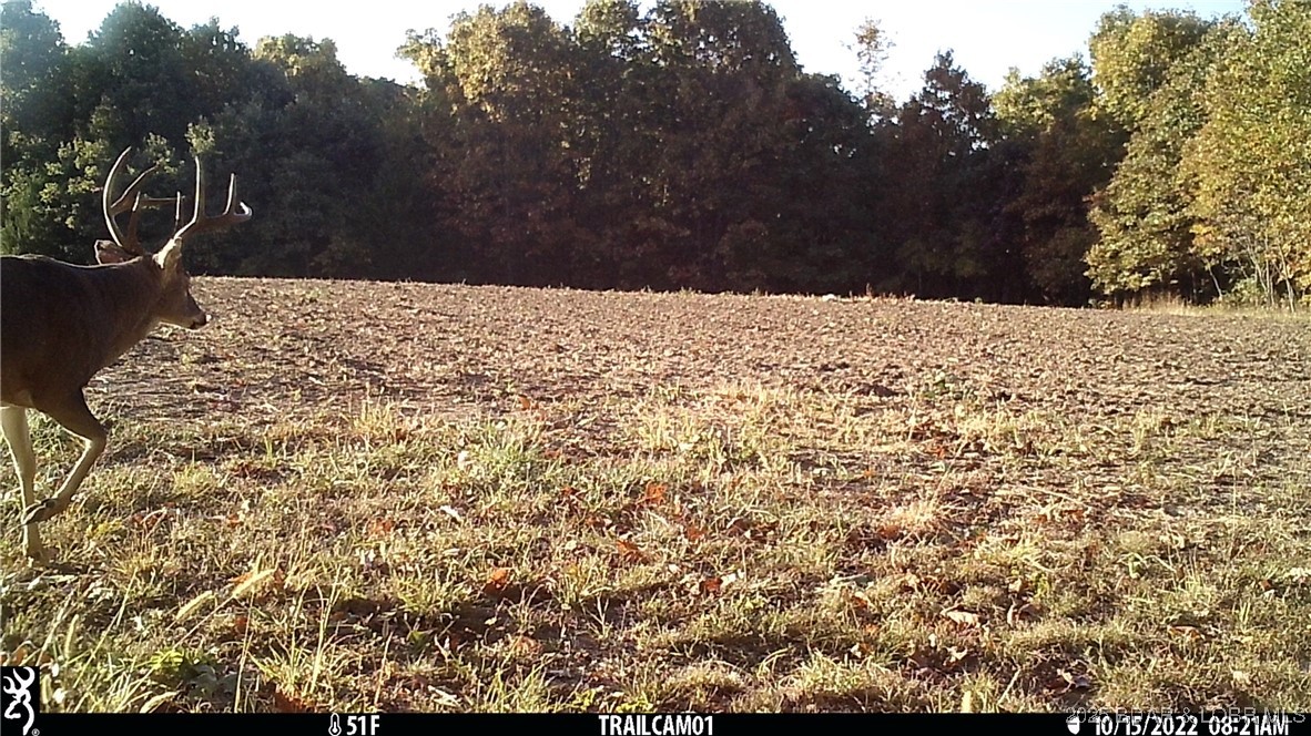 Beechnut Road Stover, MO 65078 - Photo 5 of 5