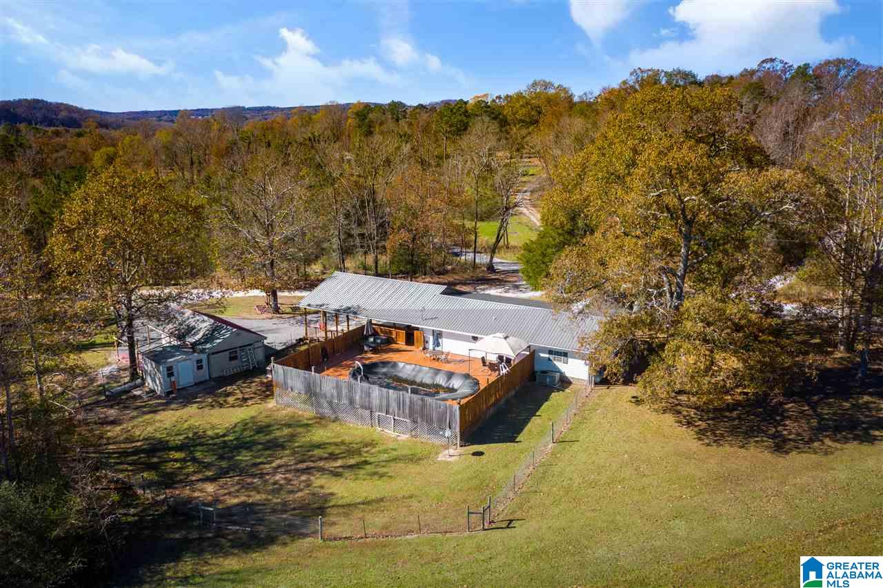 11 Posey Road Blountsville, AL 35031 - Photo 37 of 50