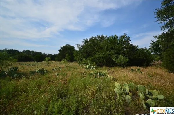 $299,151 | 17426 North US Highway 183, Lometa, TX 76853