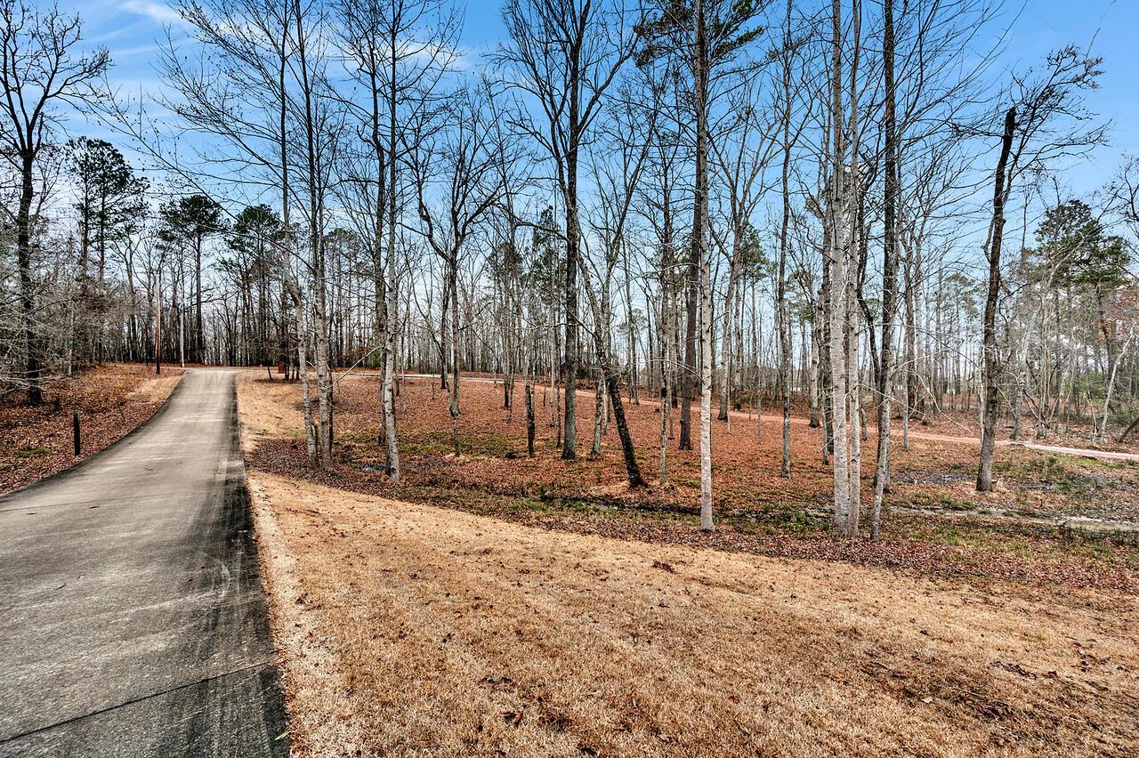 444 Harrison Shipman Road Jasper, AL 35503 - Photo 14 of 15 Gallery Image 14