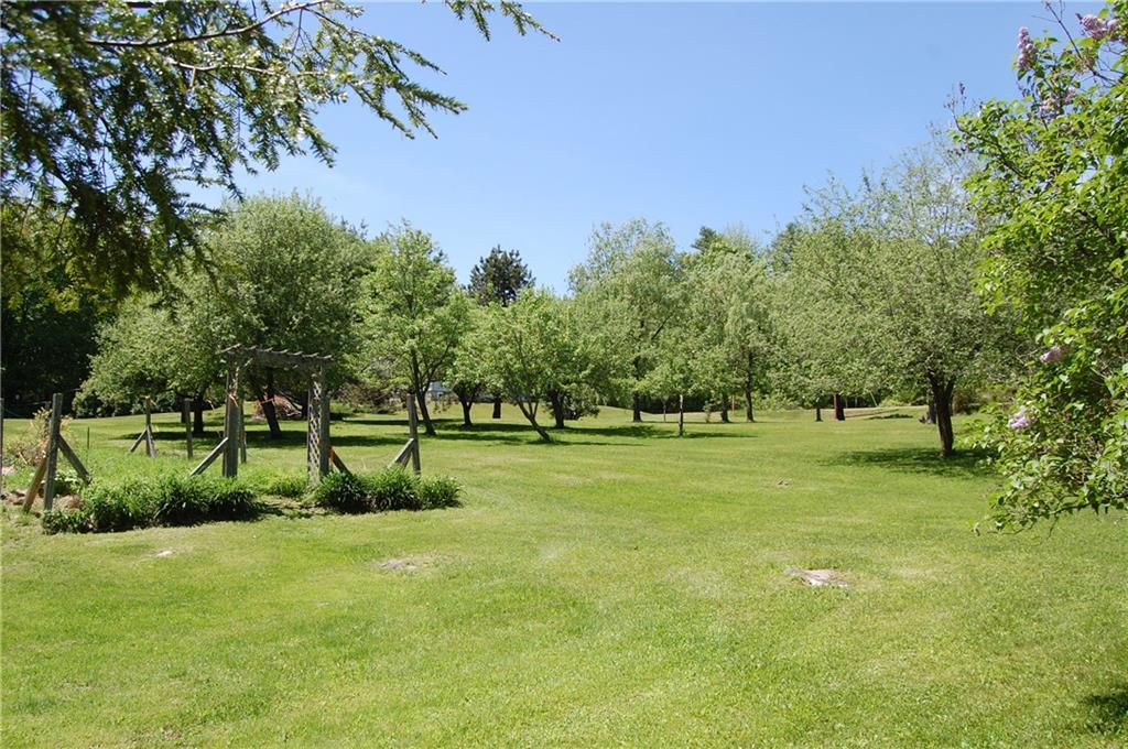 58 Waldoboro Road Washington, ME 04574 - Photo 25 of 35 Apple orchard with one pear tree.