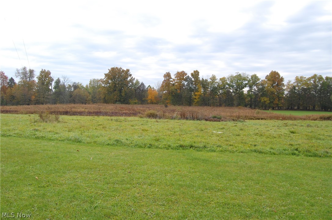 9030 Chippewa Road Lodi, OH 44254 - Photo 32 of 35 Gallery Image 32