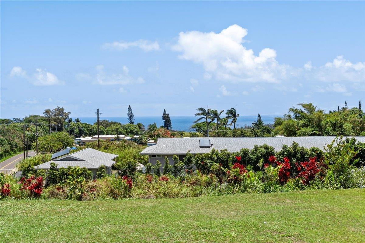 139 Pauwela Road Haiku, HI 96708 - Photo 3 of 42 a view of a bunch of flower in a garden