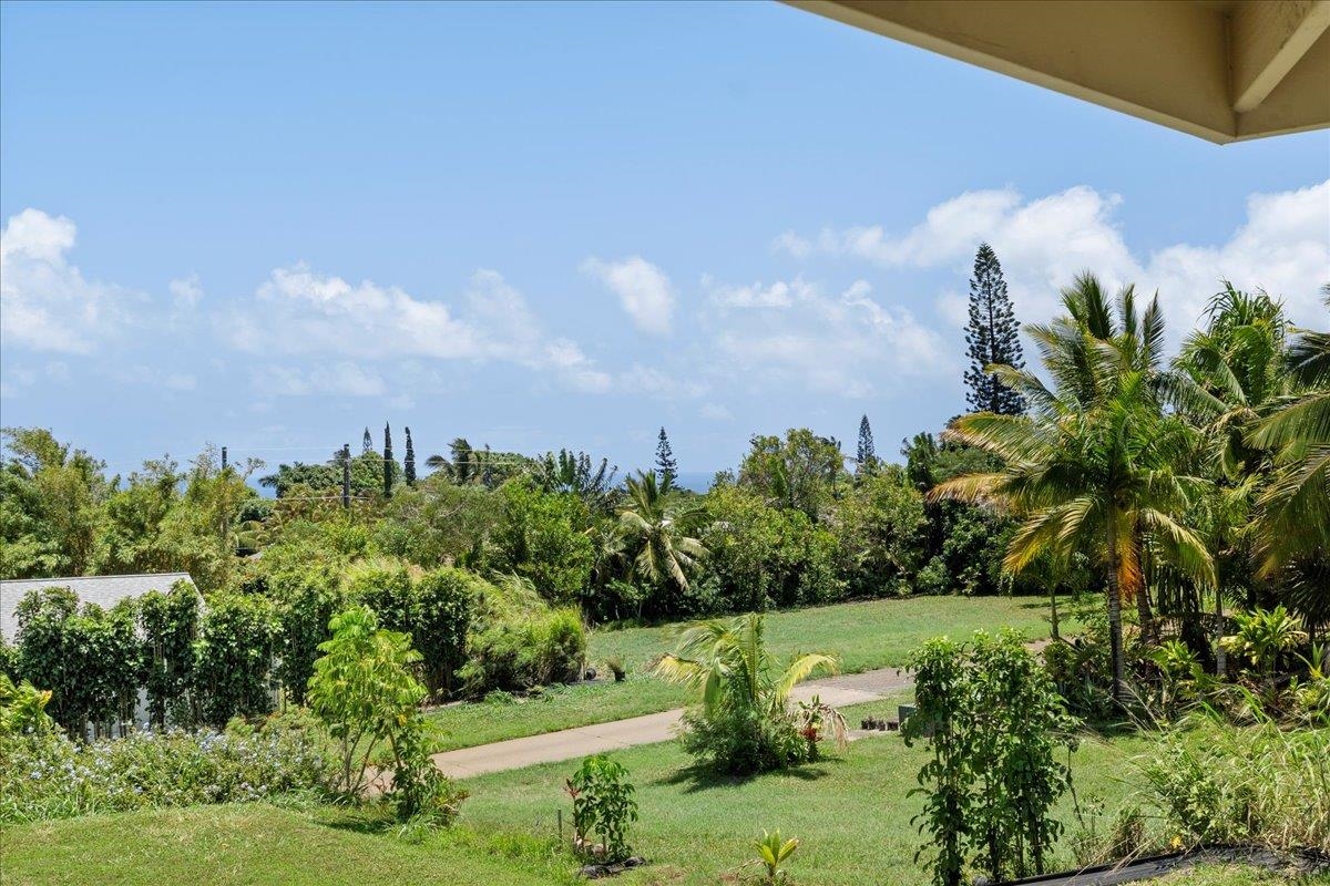 139 Pauwela Road Haiku, HI 96708 - Photo 34 of 42 a view of a garden with a building in the background