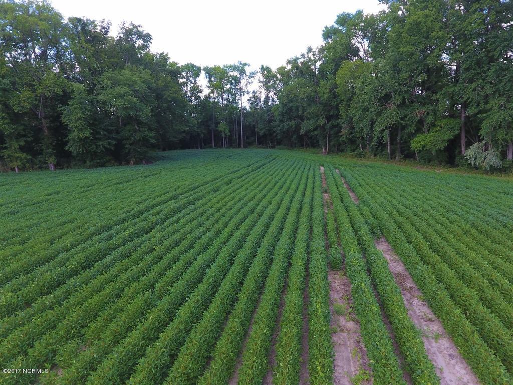 128.25 Ac Off Alton Road Lucama, NC 27851 - Photo 31 of 48 27 (1024x768)
