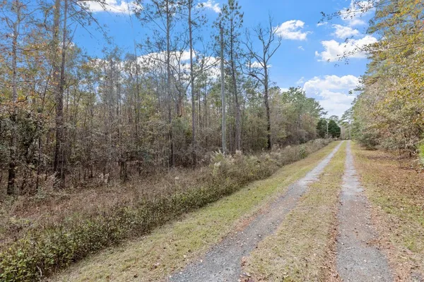 $135,000 | Xx Foggy Lane, Monticello, FL 32344