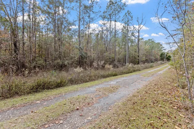 $135,000 | Xx Foggy Lane, Monticello, FL 32344
