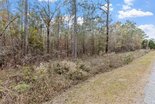 $135,000 | Xx Foggy Lane, Monticello, FL 32344