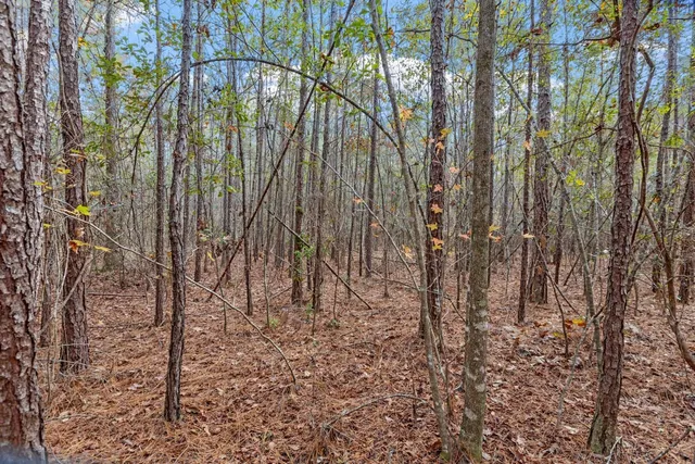 $135,000 | Xx Foggy Lane, Monticello, FL 32344