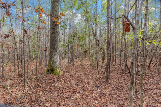 $135,000 | Xx Foggy Lane, Monticello, FL 32344