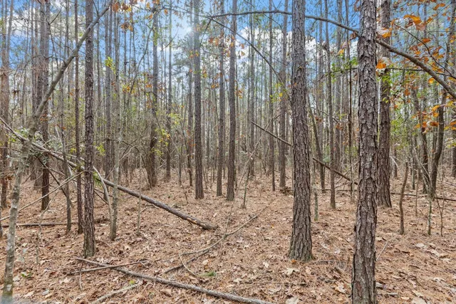 $135,000 | Xx Foggy Lane, Monticello, FL 32344