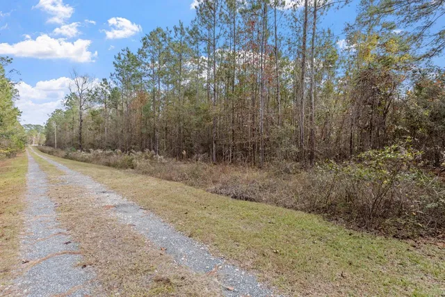$135,000 | Xx Foggy Lane, Monticello, FL 32344