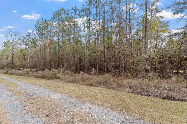 $135,000 | Xx Foggy Lane, Monticello, FL 32344