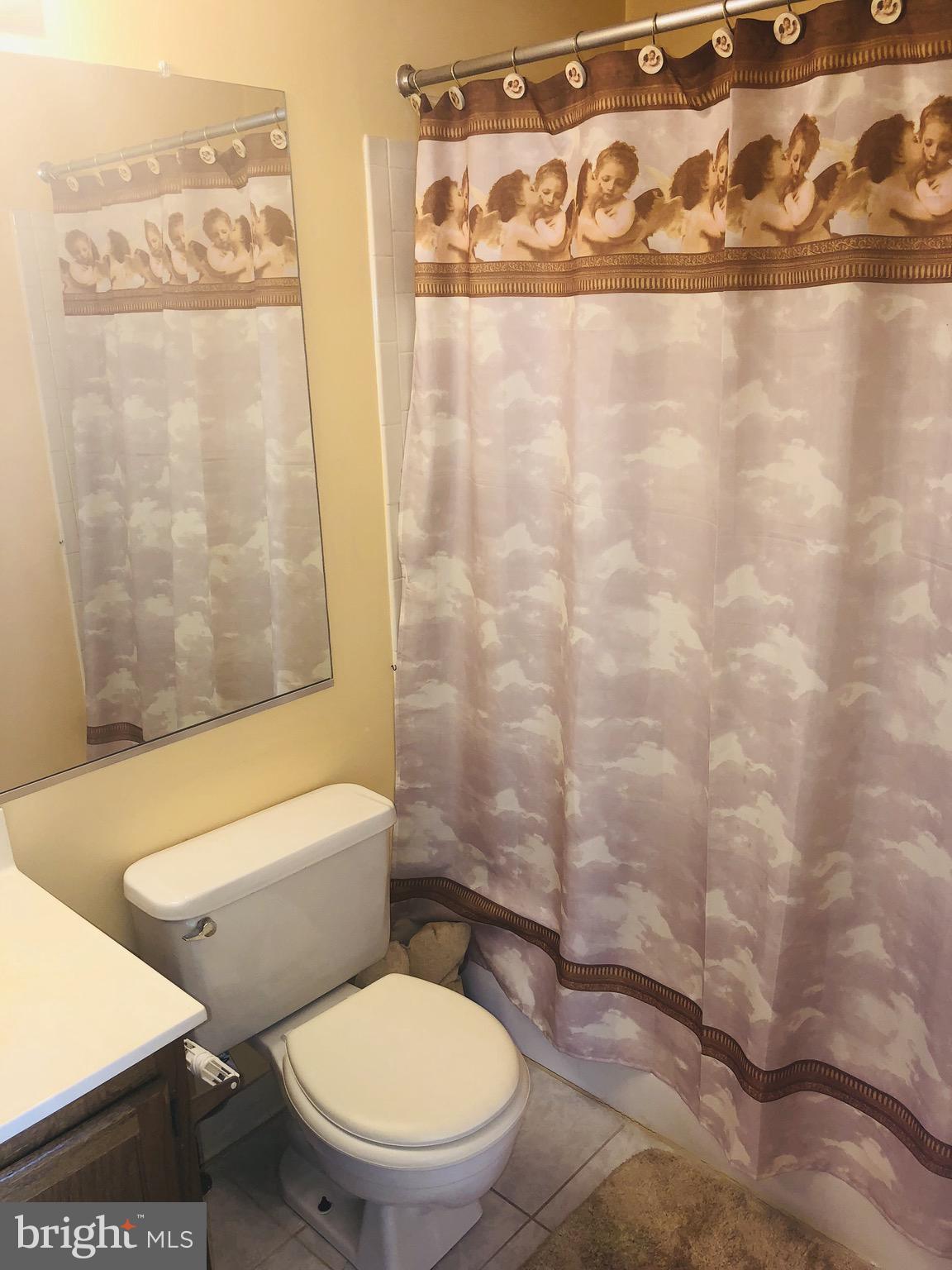 8705 Ritchboro Road District Heights, MD 20747 - Photo 18 of 28 2nd Master Bathroom (2)