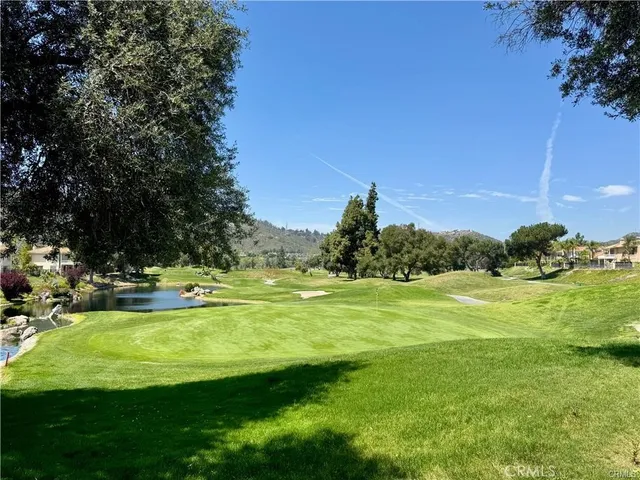 a view of a grassy area with an trees