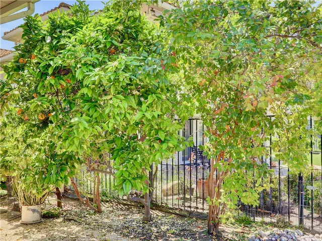 a view of an outdoor space with a tree