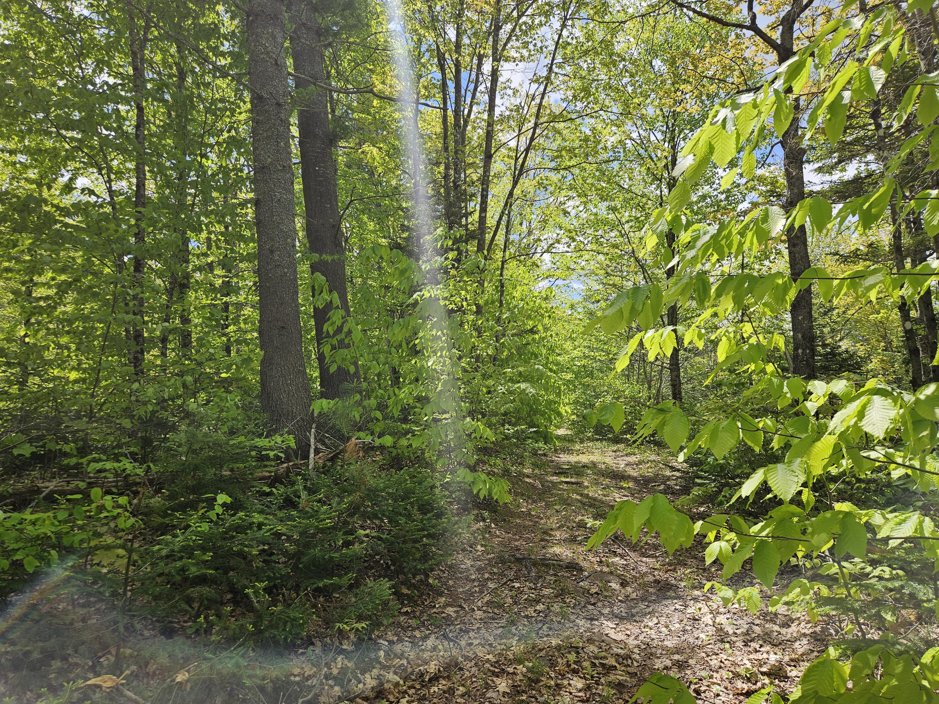 2 Mud Pond Road Madrid Township, ME 04966 - Photo 31 of 42 Madrid Lot