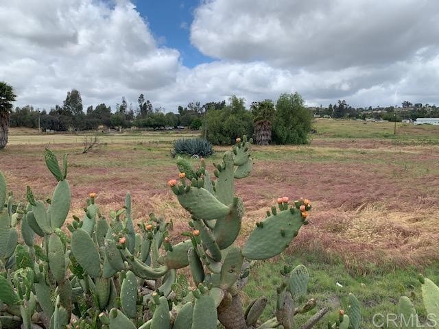 1669 Montecito Road Ramona, CA 92065 - Photo 5 of 9 a view of a lake with houses in the back