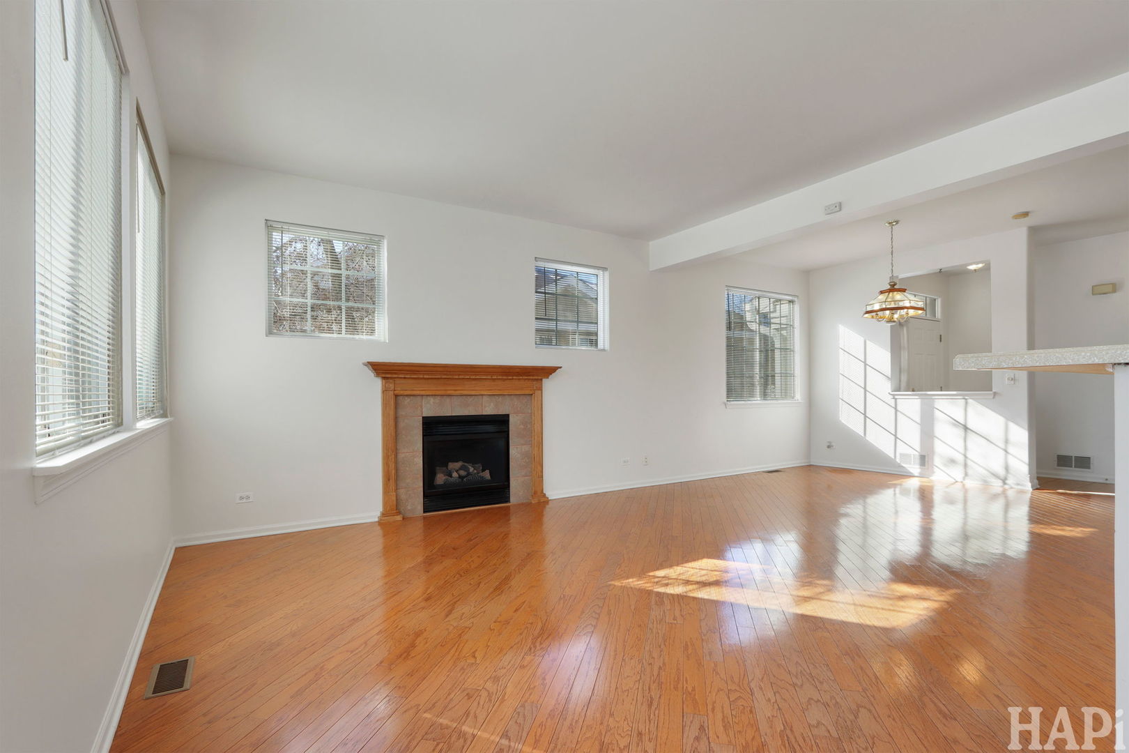 373 Keswick Court, Unit 373 Round Lake, IL 60073 - Photo 4 of 30 a view of empty room with wooden floor and fireplace