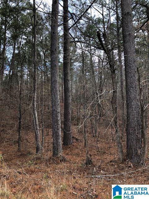 0 Pleasant Valley Road, Unit 1 Jacksonville, AL 36265 - Photo 1 of 24