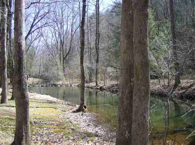104 Pipe Line Lane Cleveland, SC 29635 - Photo 19 of 25 Gallery Image 19